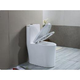 六榕路厕所装修供应商-广州快速安装更换马桶厕所型号