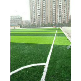 永康体育设施(图)-宜春市人造草坪球场铺设-人造草坪球场铺设