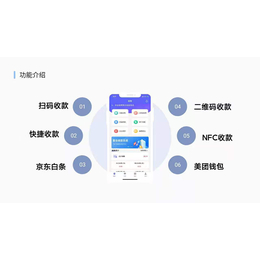 聚合收款APP开发-支付潮流的宠儿