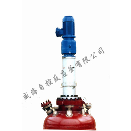 上海氢化釜销售-自控反应釜生产商-不锈钢氢化釜销售