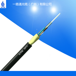 光缆生产厂家供应128芯室外单模层绞式GYFTY非金属光缆