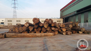 上海星桉木业有限公司