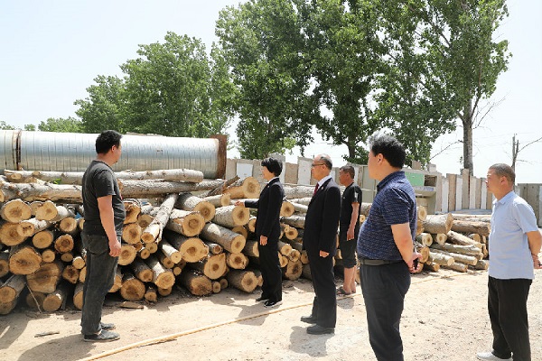 停产两年的木材厂成了纳税大户