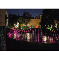 音乐喷泉厂家 喷泉公司 长沙世界之窗互动喷泉