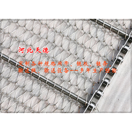 梨树网带-金属钢丝网输送带-翻边式密纹输送网带