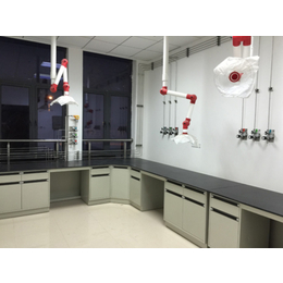 供应巴马实验室家具 都安通风柜 大化实验室家具