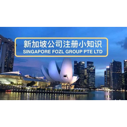 新加坡公司注册海外架构一站式服务
