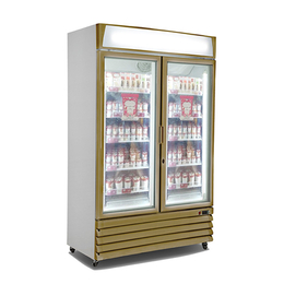 商用立式冷柜厂家-可美电器(在线咨询)-中山冷柜