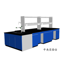 武汉得创净化-武汉实验室家具