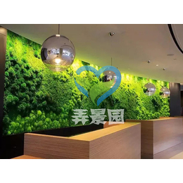 福州生态植物墙哪家好-福州弄景园生态植物墙-福州生态植物墙