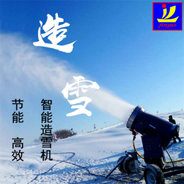 万帼造雪机 敢于任何造雪机比质量 比出雪速度缩略图