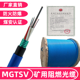 欧孚MGTSV-6b1煤矿用阻燃通信光缆6芯单模矿用铠装光缆缩略图