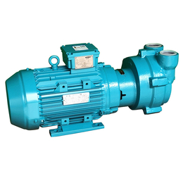 厂价供应NASH水环式2BV2061-ONC02-2P真空泵
