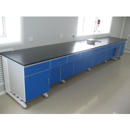 陕西西安环境监测实验室设计施工 环境监测实验室家具 