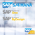 中山SAP本地服务公司 SAP全线ERP系统代理实施商缩略图2