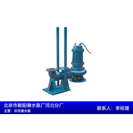 中型污水泵厂家-中型污水泵-朝阳污水泵生产(查看)