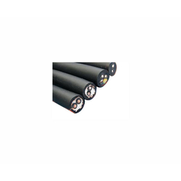江苏橡套电缆-绿宝电缆（集团）-橡套电缆多少钱一米