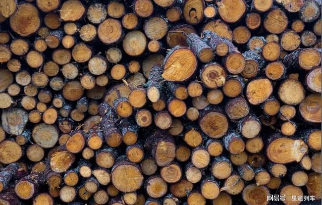 古代能源危机：人口越来越多，木材生产跟不上怎么办？