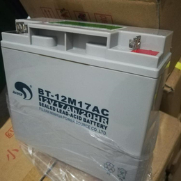 湖南赛特蓄电池BT-MSE-400 紧急备用电池