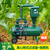 高标准农田水肥一体化系统 河南双子座智能井房用自动灌溉施肥机缩略图2