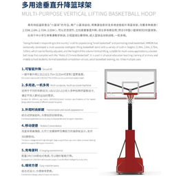 东莞款儿童小篮球架智能可升降篮球框