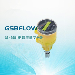 供应GSBFLOW智能型GS-2581插入式电磁流量计