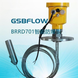 供應GSBFLOW智能防爆BRRD701型纜式雷達物位計