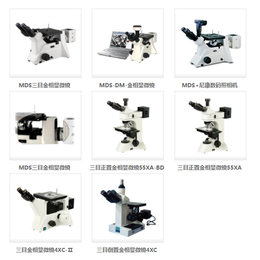 生物显微镜-实验仪器就选天津莱试-倒置生物显微镜厂家