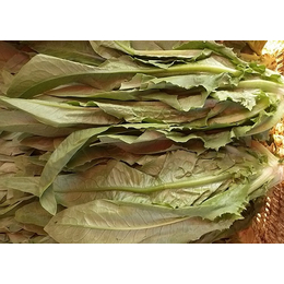 安徽有机新鲜蔬菜-刘建平蔬菜配送-安徽有机新鲜蔬菜价格