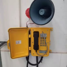电厂防水防尘电话机 自动拨号防水电话机