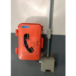 防水调度电话机应急噪电话机壁挂式扩音电话机