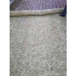 公路边坡绿化植生毯 护坡植物纤维毯 矿山复绿植草毯