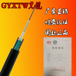 中心束管式光缆的生产流程及工艺GYXTW四芯铠装光缆