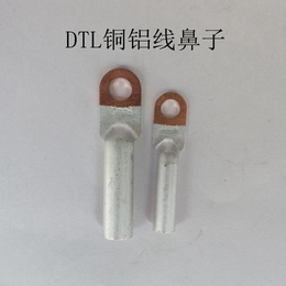 供应厂家*铜铝线鼻子 DTL-10平方铜铝过渡接线端子