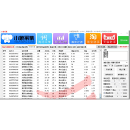 拼多多无货源店群新手小白淘上拼小额券招商加盟