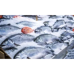 青岛靠谱的水产海鲜进口清关公司排行顺序