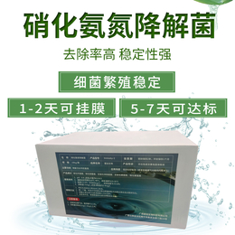 硝化氨氮降解好氧菌曝气池培养菌生活工业废水处理生物菌缩略图