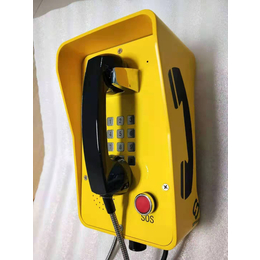 噪电话机管廊IP电话机防水噪电话机