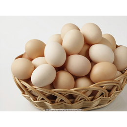 长沙生鲜配送公司 湖南蔬永农产品 蔬永配送--鸡蛋