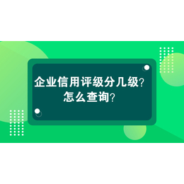 南宁企业信用评级代理公司缩略图