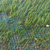 衡水河道生态护坡加筋防冲毯 冲生态毯 河道绿化规范缩略图3