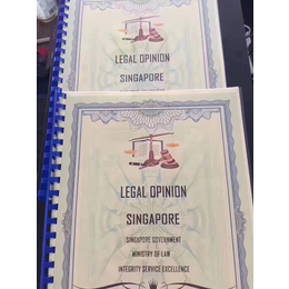 注册新加坡基釒会出具法律意见书需要哪些资料