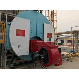 超低氮燃烧器公司-布尔泰能源-阜新超低氮燃烧器