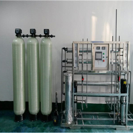 纯化水设备定制 一体化高纯水机 宁波河水过滤处理器