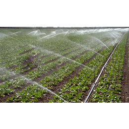 南宁宏振灌溉|【果树喷灌滴灌灌溉】|梧州灌溉