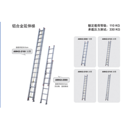 金锚铝合金伸缩梯两片延伸AM42-220I