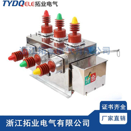 ZW27-12G柱式户外高压真空断路器