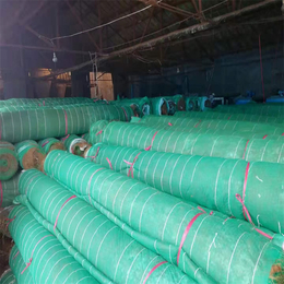 绿化植生毯 铁路护坡加筋防冲毯 河渠绿化 质优价低 
