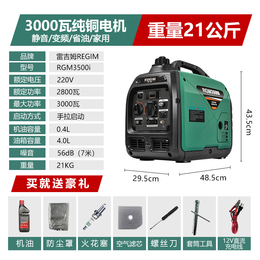 萨登DS8000JQD小型汽油发电机双缸