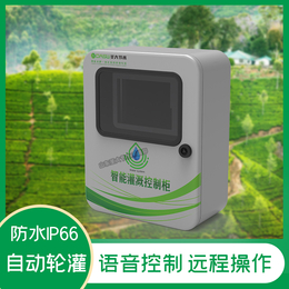   智能灌溉控制柜 节水农业项目大田果园可远程控制水肥一体化系统缩略图
